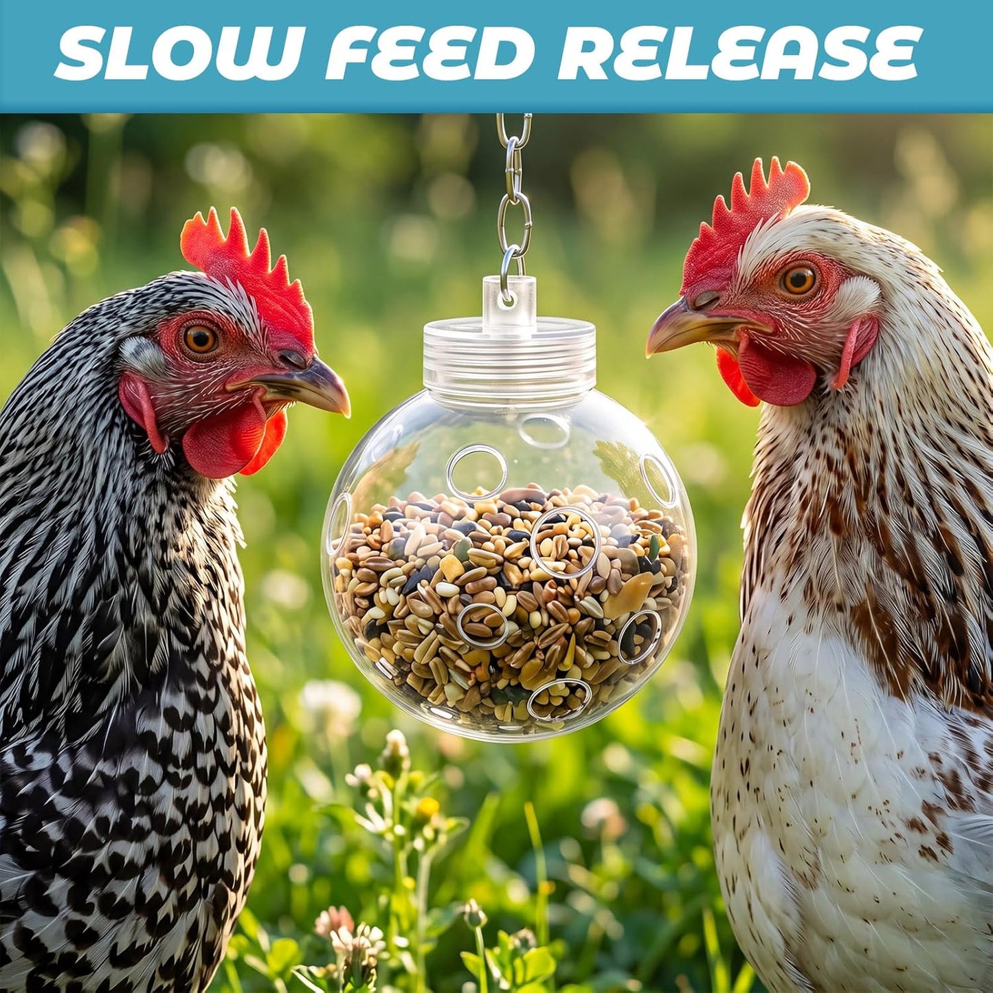 2 Pcs Chicken Treat Dispenser Interactive Slow Feeder Hanging Chicken Treat Ball with Chain Pecking Toys for Hens, Poultry Coop Accessories