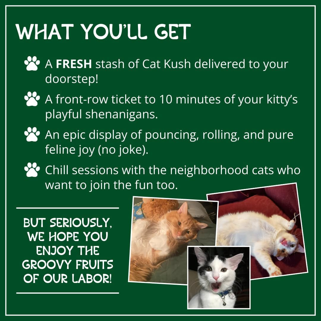 Organic Catnip by , Safe Premium Blend Perfect for Cats, Instilled with Maximized Potency Your Kitty Is Guaranteed to Go Crazy For! (1 Cup)